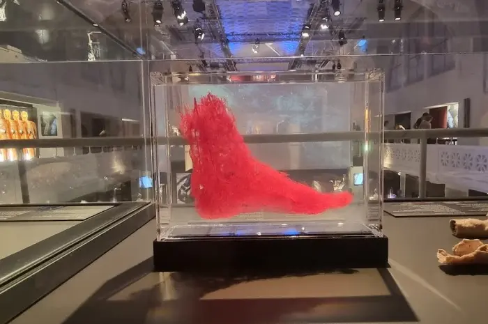 Body Worlds Museum