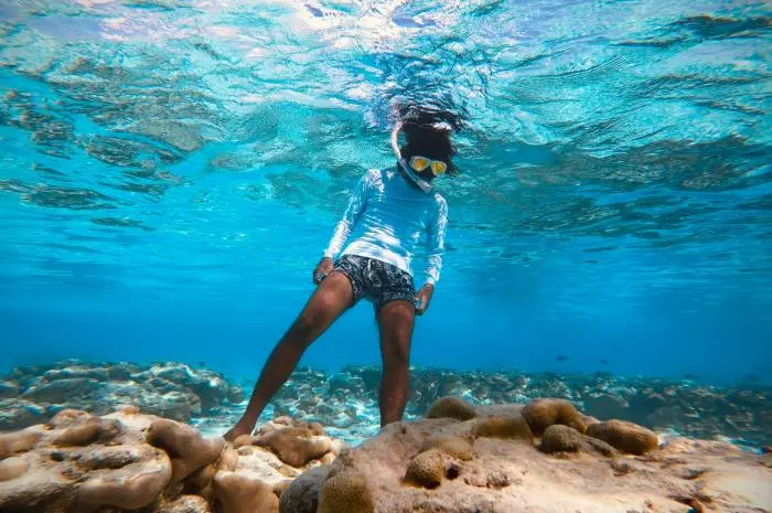 Explore Marine Life and Nature