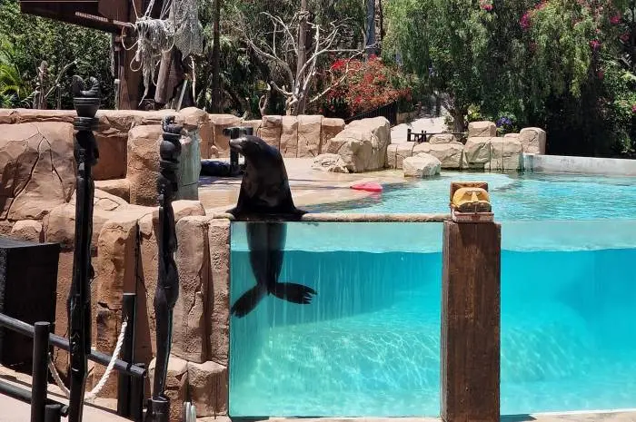 Jungle Park