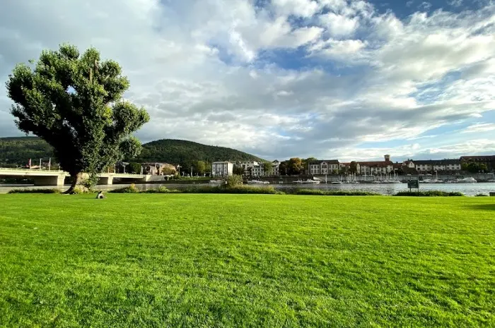 Neckarwiese