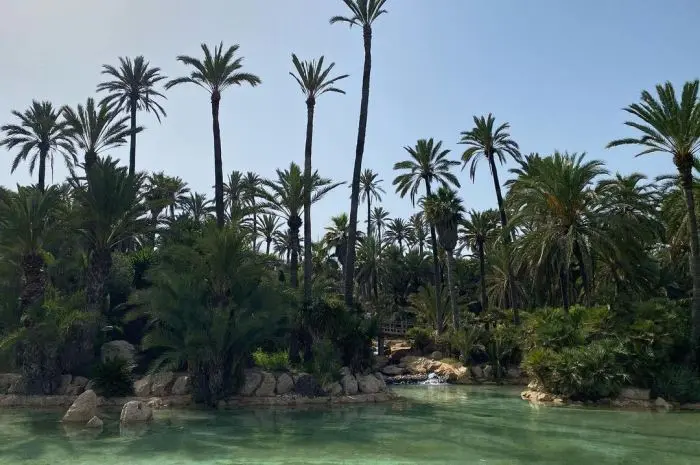 Parc El Palmeral