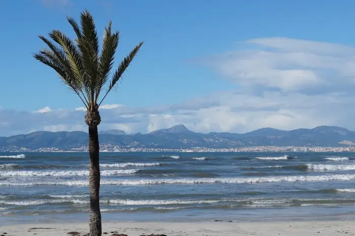 Playa de las Américas