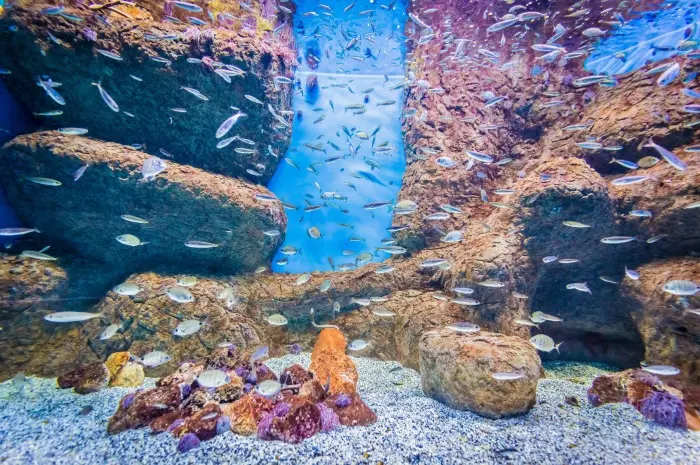 Sevilla Aquarium