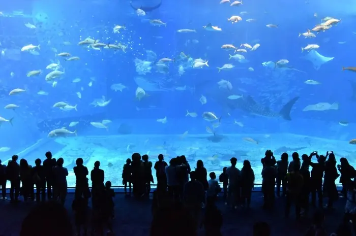 Zoo Aquarium de Madrid